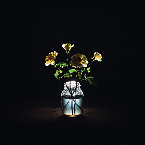 Billy Strings Renewal (180 Gram Vinyl) (2 Lp's) | Vinyl