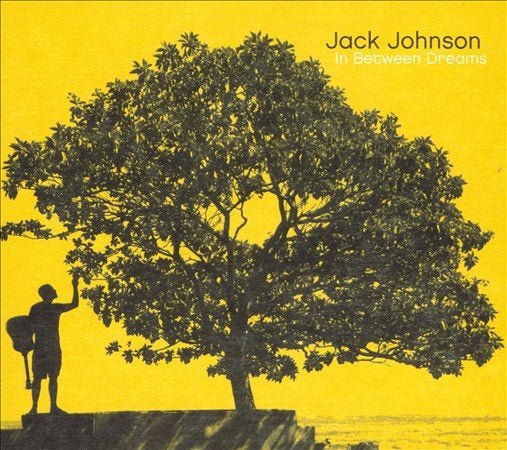 Jack Johnson - In Between Dreams - HIFI Bodega
