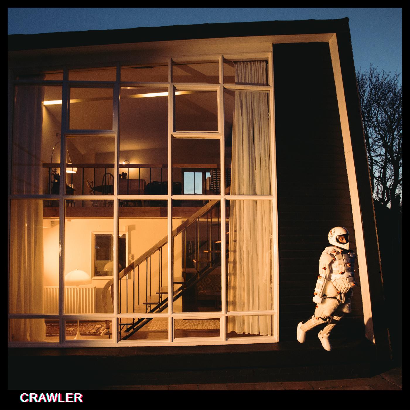 IDLES Crawler | Vinyl