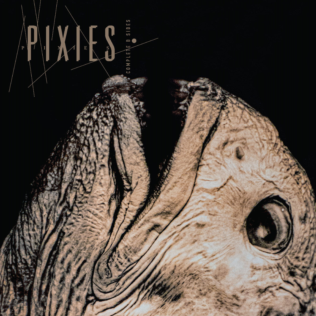 Pixies Complete B Sides: 1988-97 | Vinyl