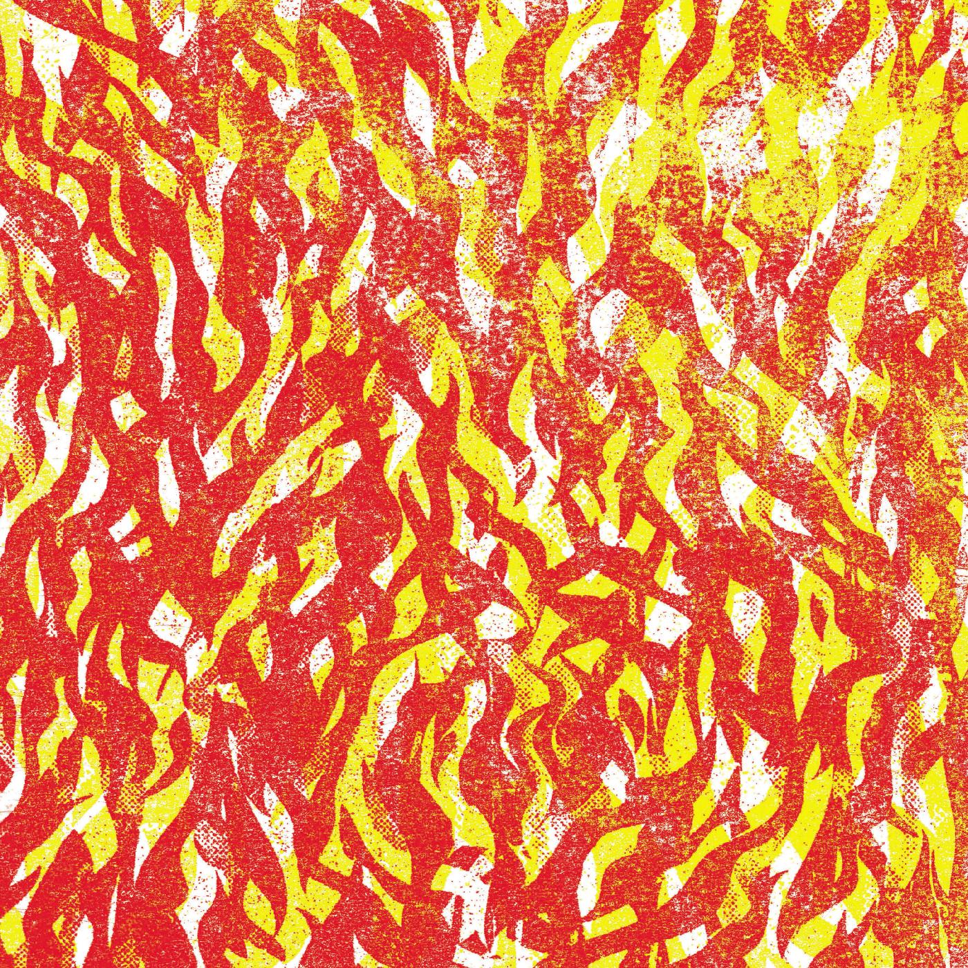 The Bug Fire (Indie Exclusive Red & Yellow Vinyl) | Vinyl