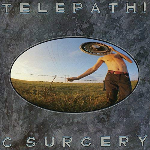The Flaming Lips Telepathic Surgery (Vinyl) | Vinyl