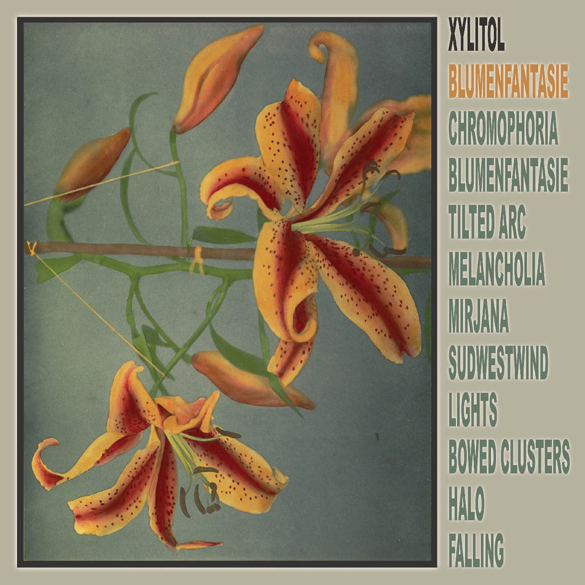 Xylitol Blumenfantasie | Vinyl