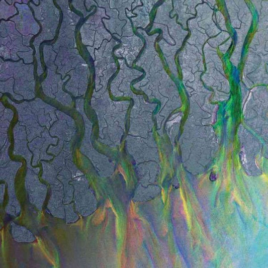 Alt-j An Awesome Wave | Vinyl