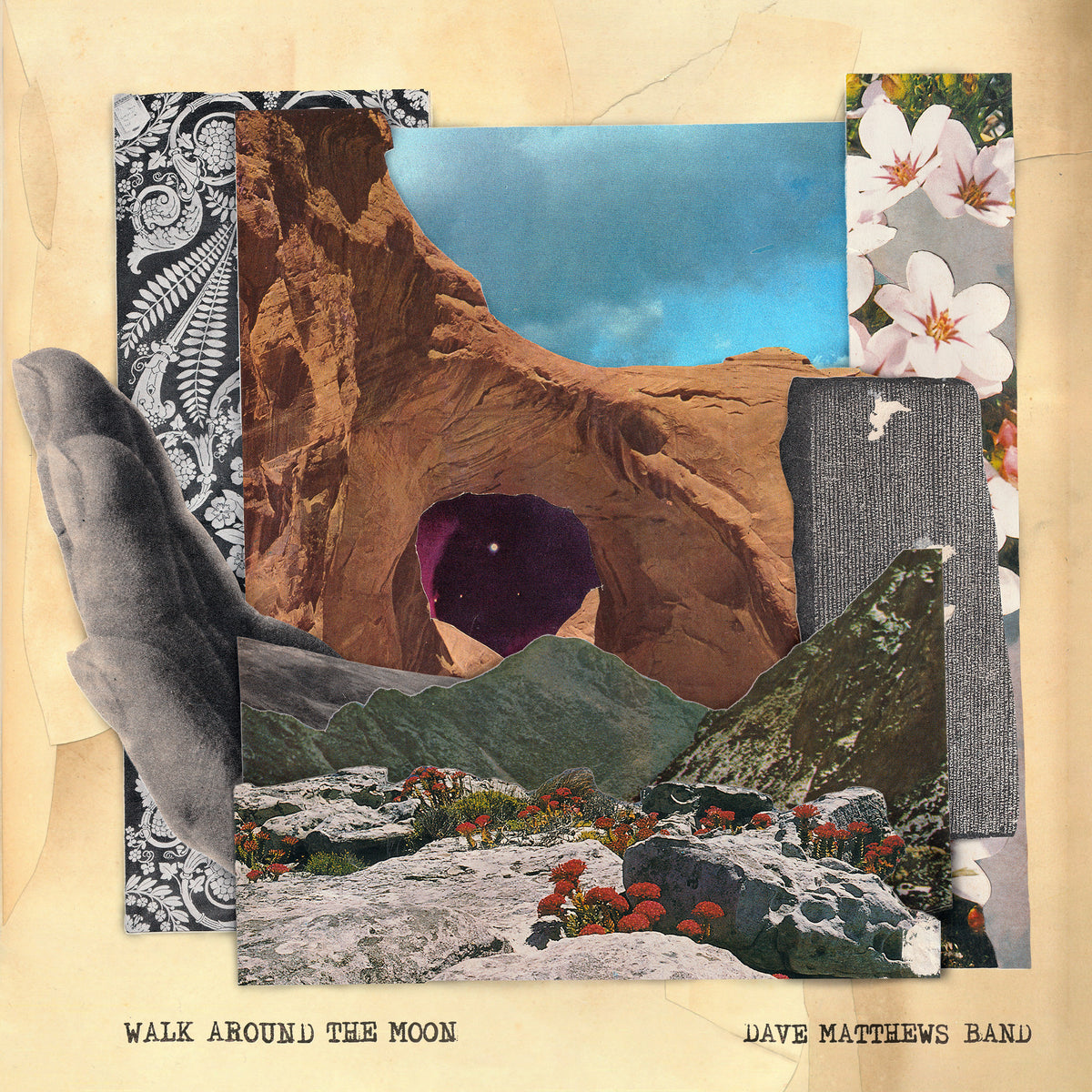 Dave Matthews Band Walk Around The Moon (Wide Vinyl, Black) | Vinyl