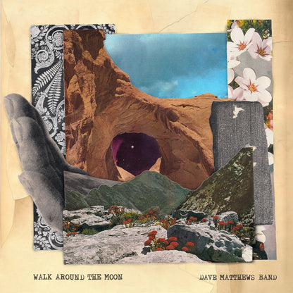 Dave Matthews Band Walk Around The Moon (Wide Vinyl, Black) | Vinyl