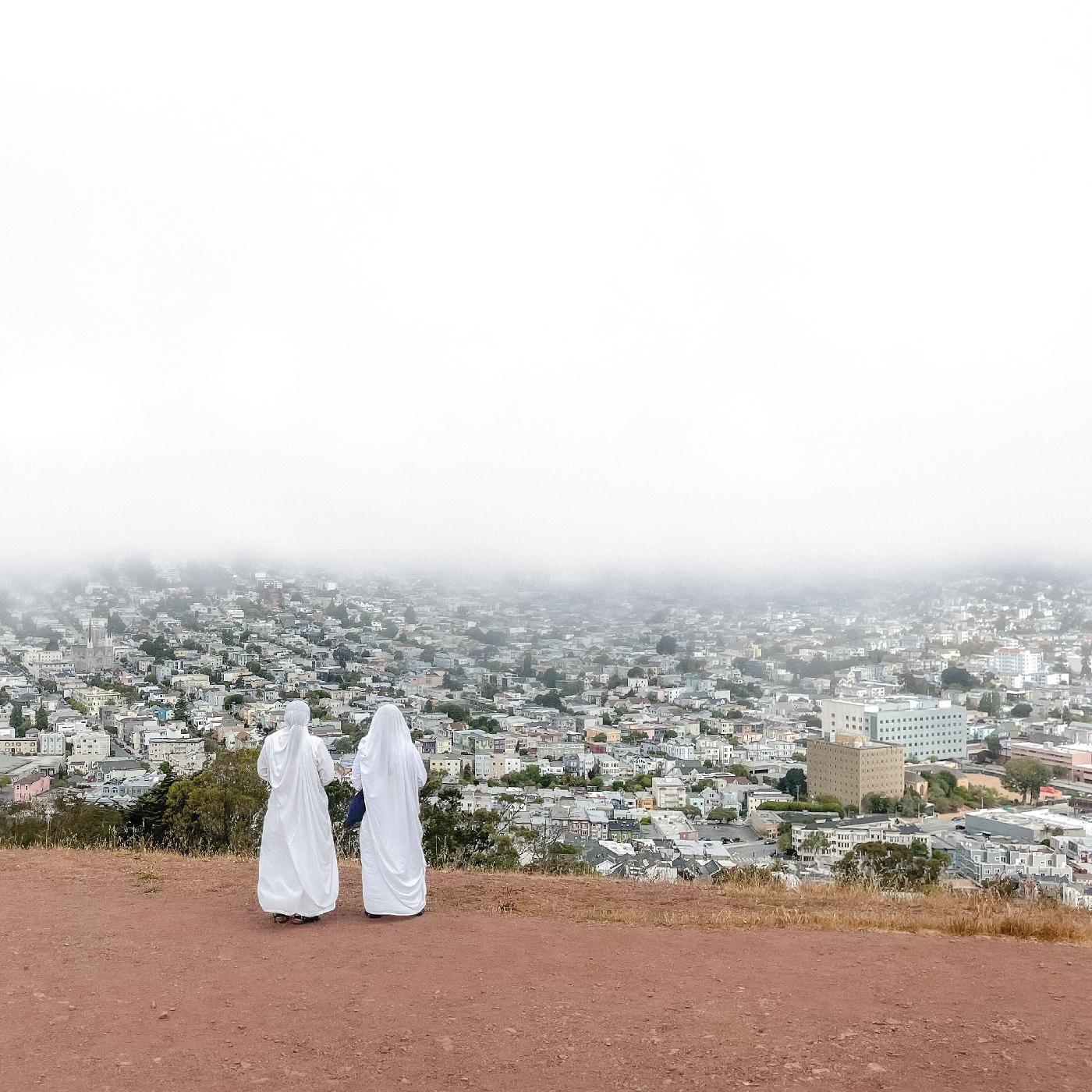 Death Cab For Cutie Asphalt Meadows (180 Gram Vinyl, Digital Download Card) | Vinyl