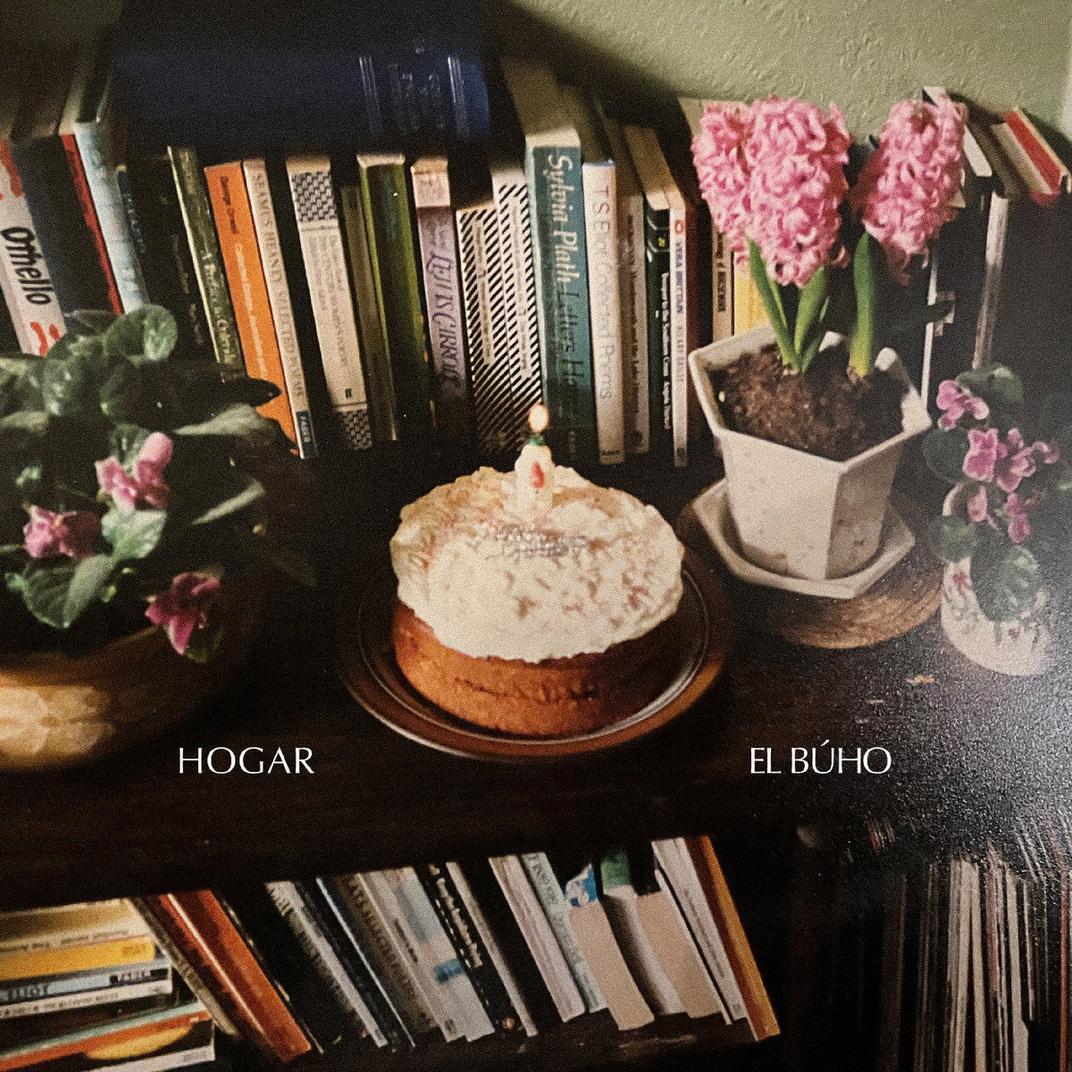 El Buho Hogar | Vinyl