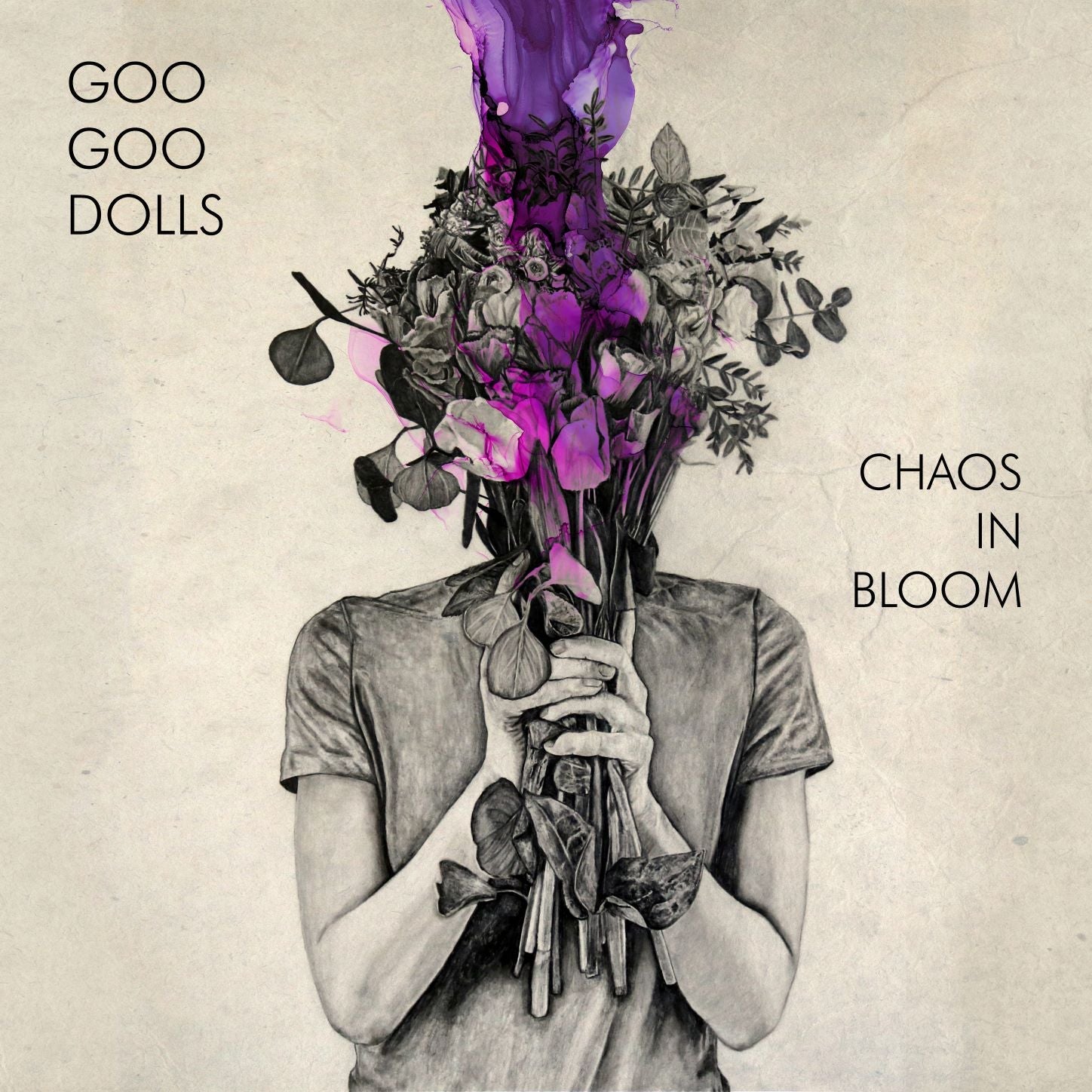 Goo Goo Dolls - Chaos In Bloom - HIFI Bodega