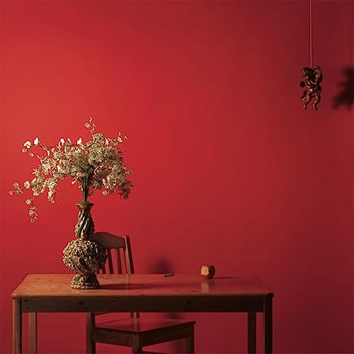 Mac Miller - Watching Movies with the Sound Off (10 Year Anniversary Edition) (180 Gram) (Picture Disc) - HIFI Bodega