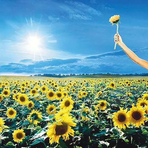 Stone Temple Pilots - Thank You - HIFI Bodega