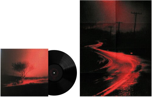 Joji Piss In The Wind [Explicit Content] | Vinyl