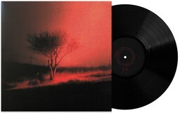 Joji Piss In The Wind [Explicit Content] | Vinyl