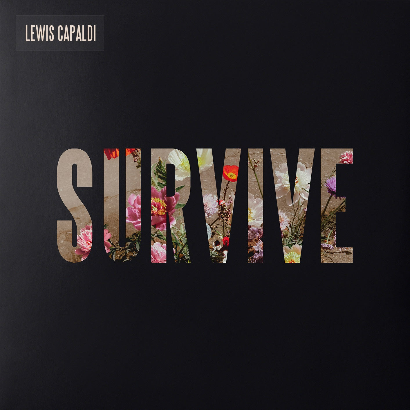 Lewis Capaldi Survive [Clear 12" EP] | Vinyl
