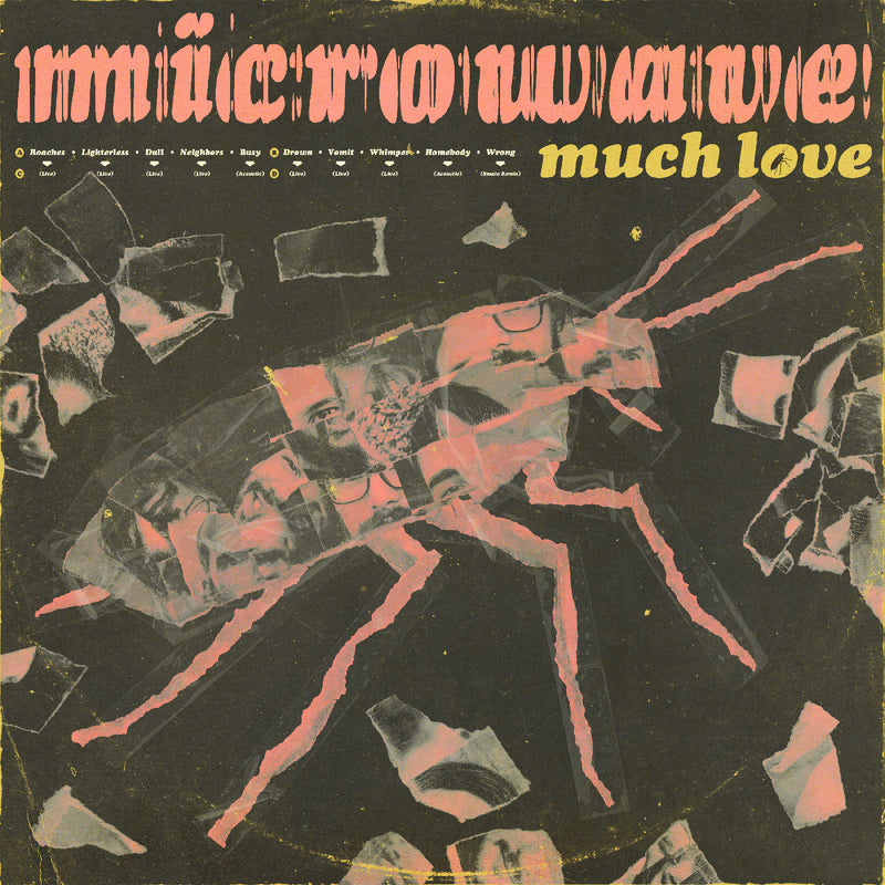 Microwave Much Love (10 Year Anniversary Edition) (Clear Pink Swirl Vinyl) | Vinyl