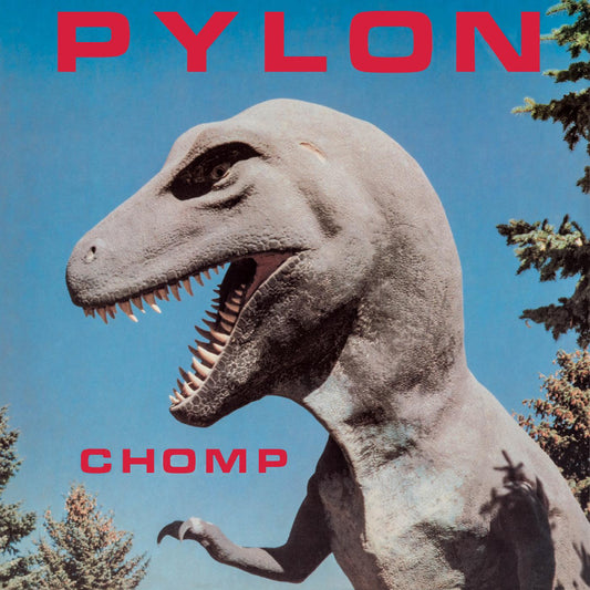 Pylon Chomp (Multi-Color Splatter Vinyl) | Vinyl