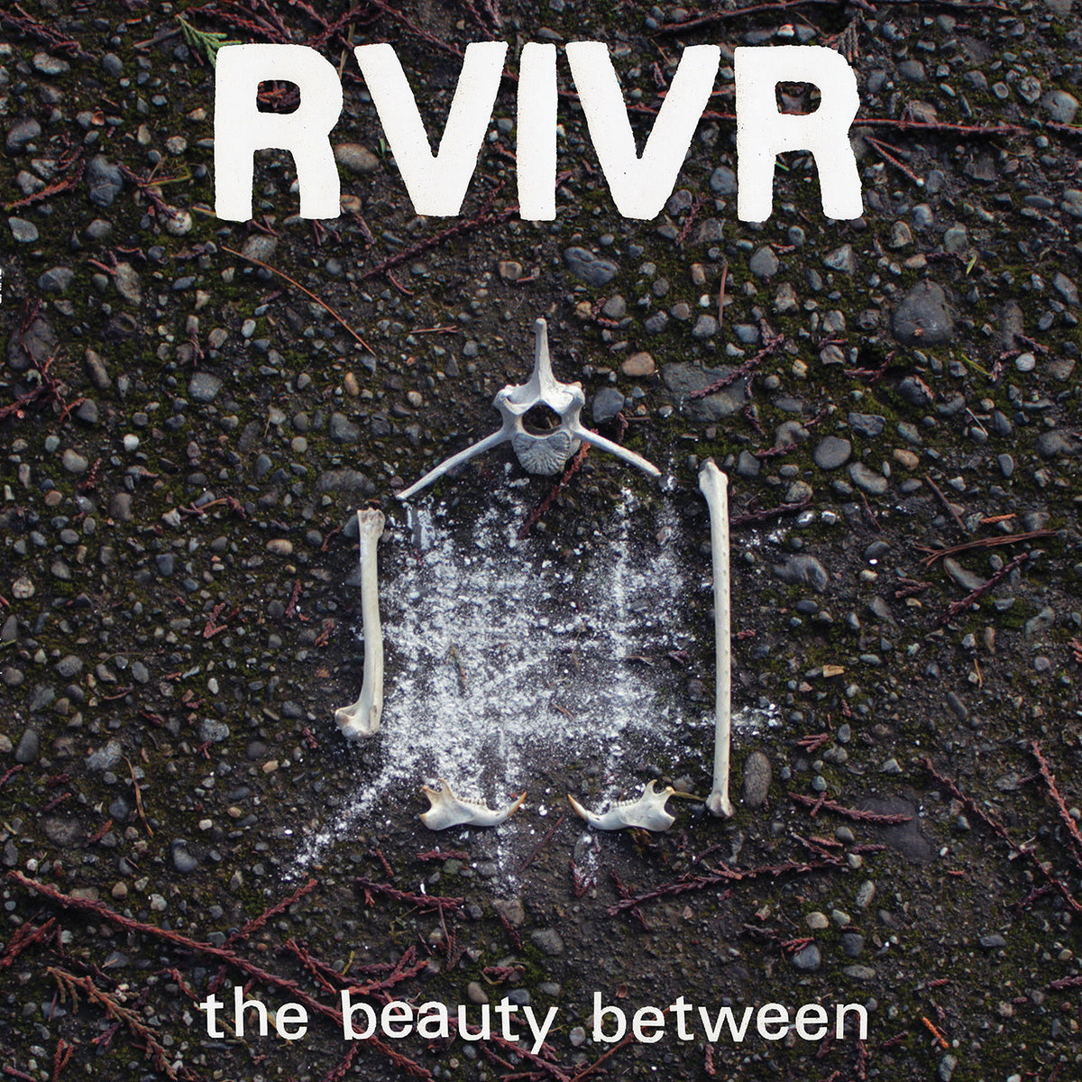 RVIVR The Beauty Between [Black/Clear Vinyl] | Vinyl